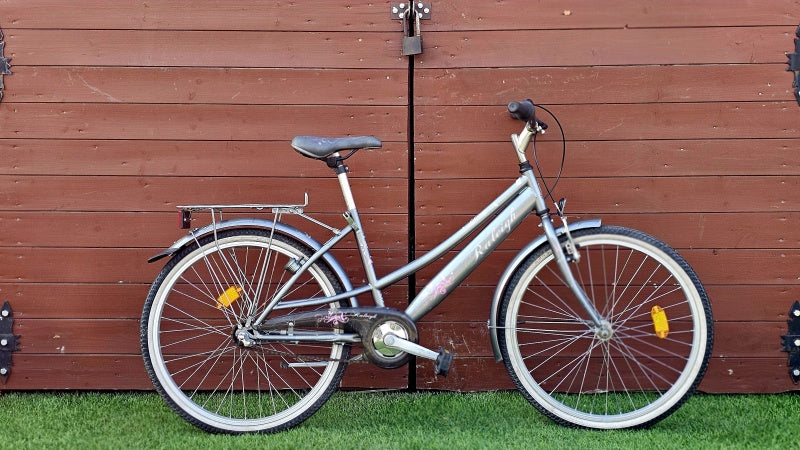 Raleigh Cherry
