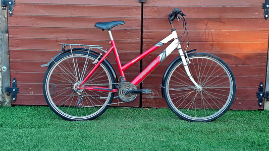 Solifer Sport 021