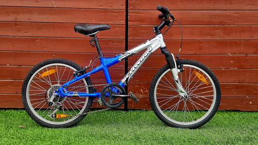 Schwinn Mesa