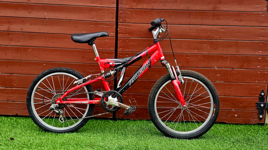 Raleigh Dragon