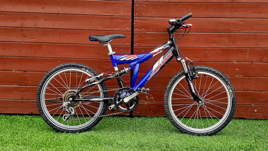 Raleigh Raptor