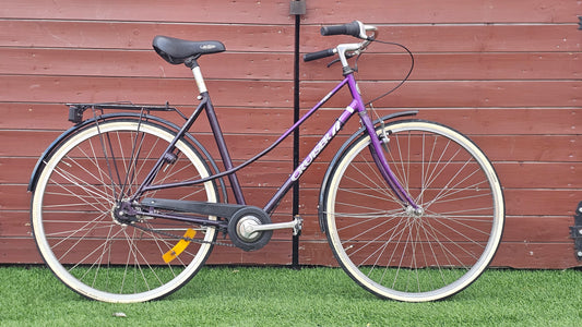 DBS Cruiser (Mixte)